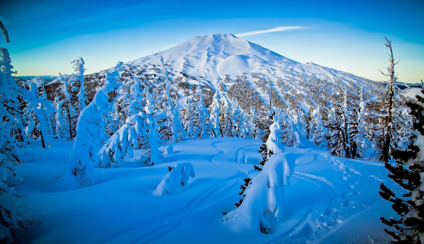 A snowy forest with trees covered in snow and a mountain in the background.