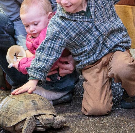 A boy and a baby are petting a turtle