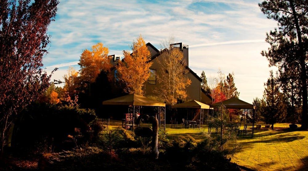 A house with a lot of trees in front of it