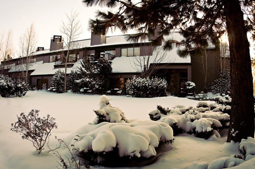 A snowy yard with a house in the background