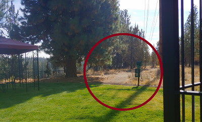 A red circle is in the middle of a lush green field.