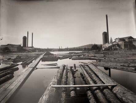 A black and white photo of logs floating on top of a body of water.