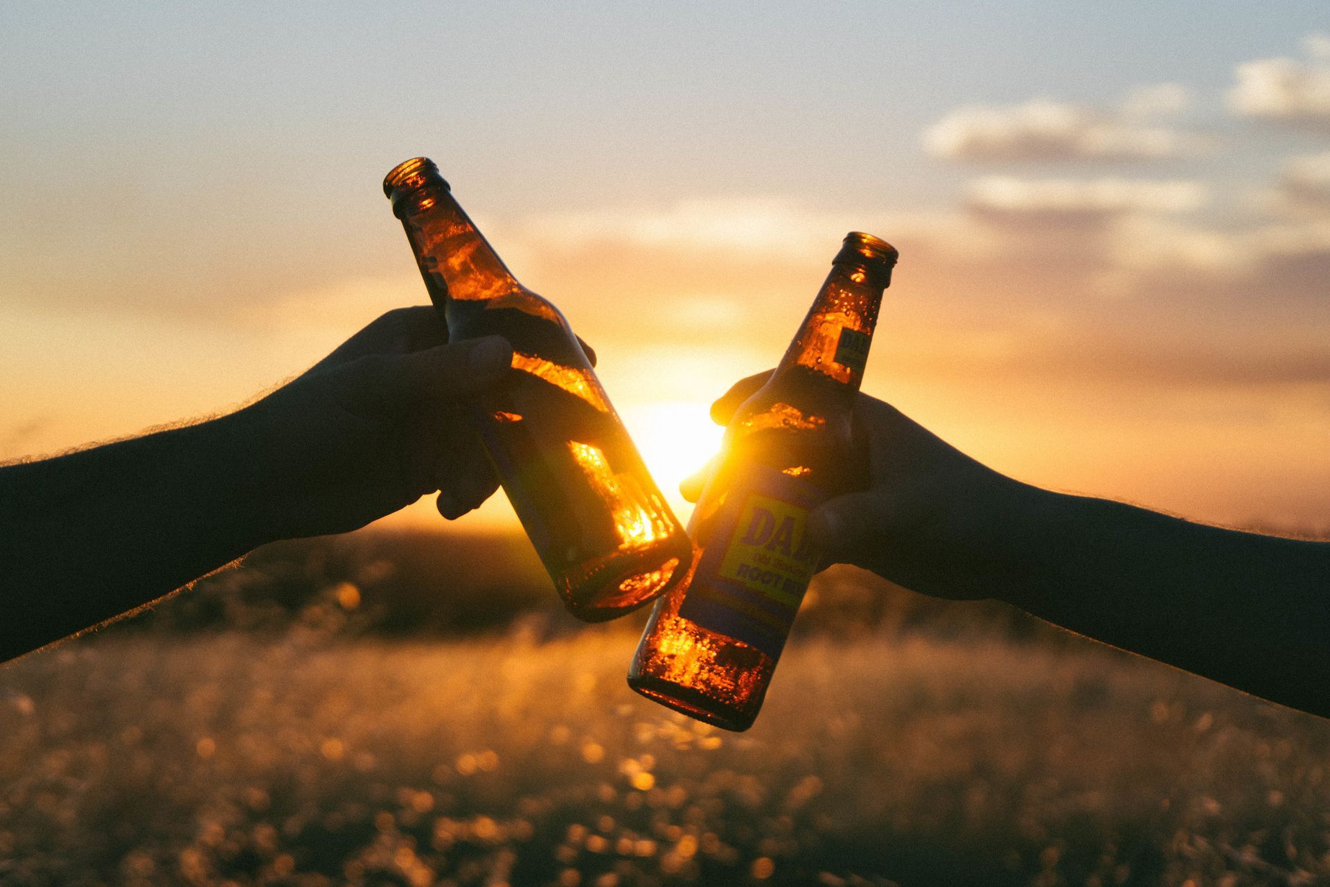Two people are toasting with beer bottles in a field at sunset.