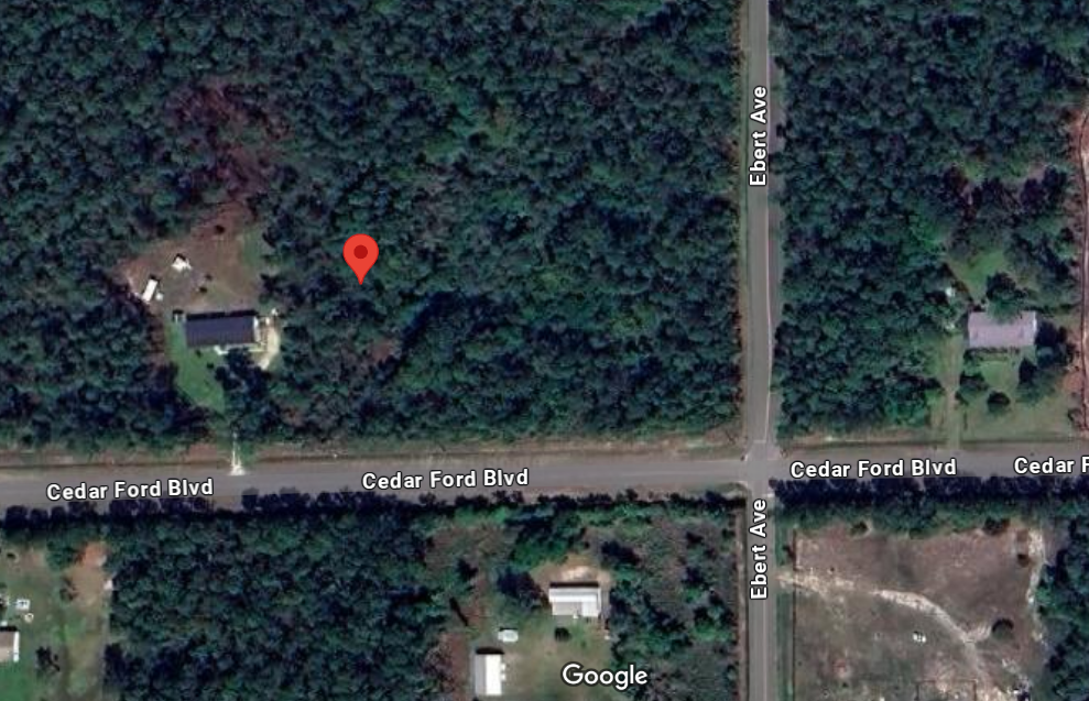 An aerial view of a house in the middle of a forest.