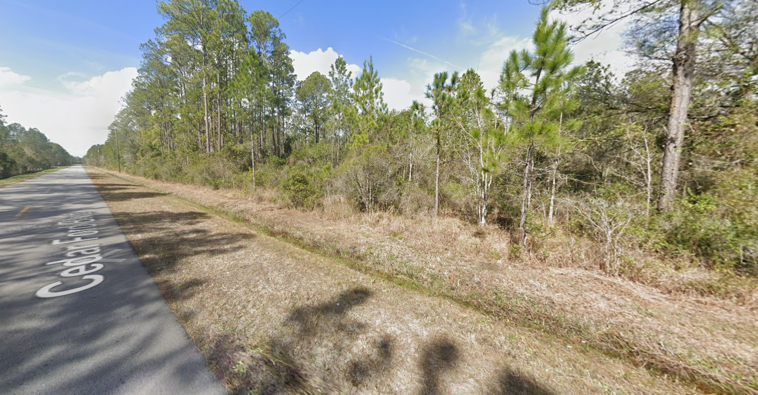 A road going through a forest with trees on both sides of it.