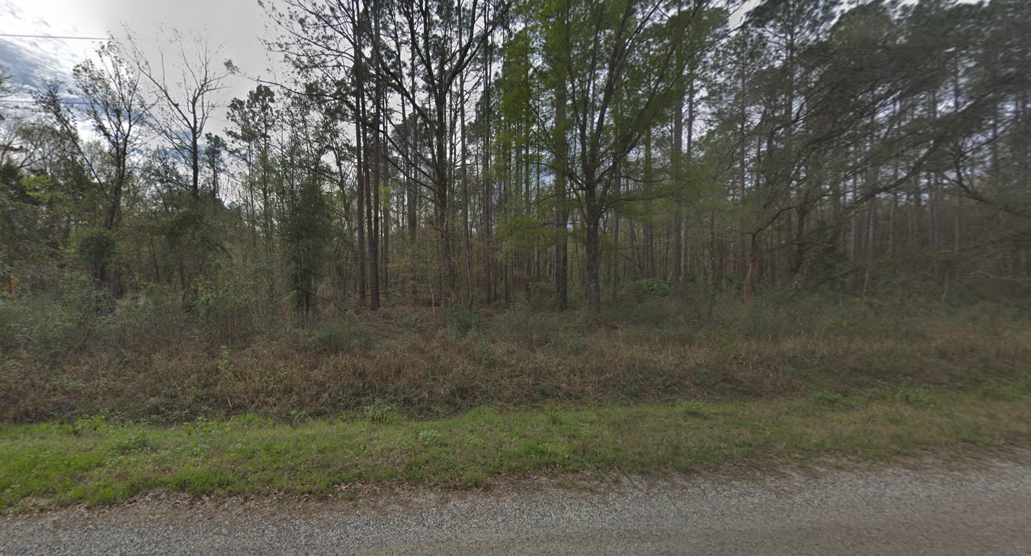 A dirt road going through a forest with trees in the background.
