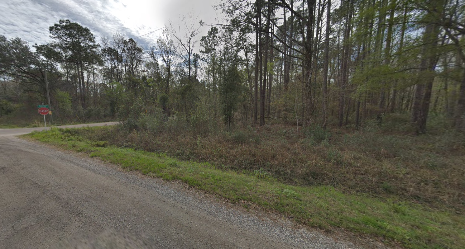 A dirt road going through a forest with trees on both sides.