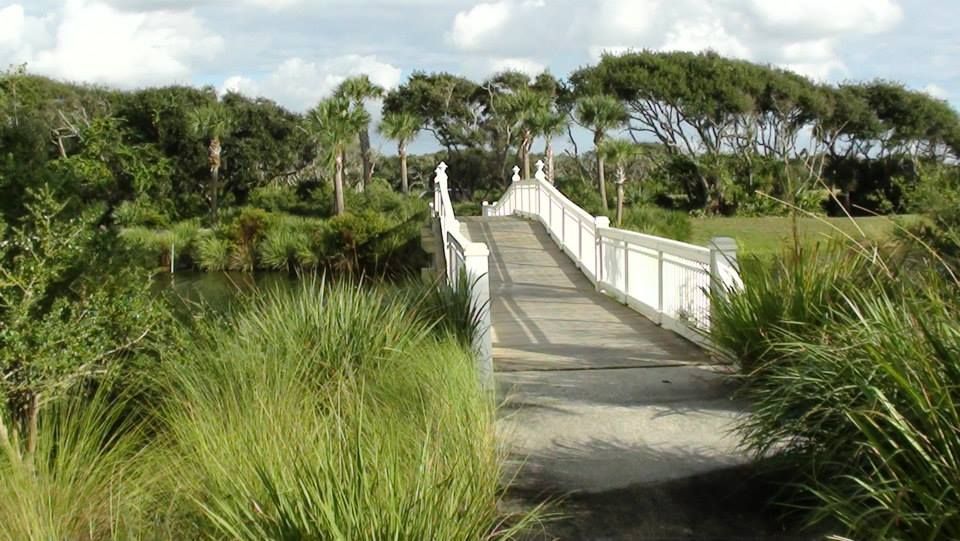 A white bridge is surrounded by tall grass and trees.