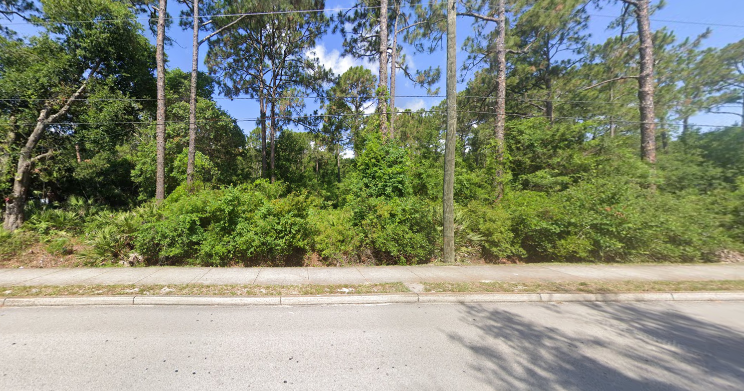 There is a lot of trees on the side of the road.