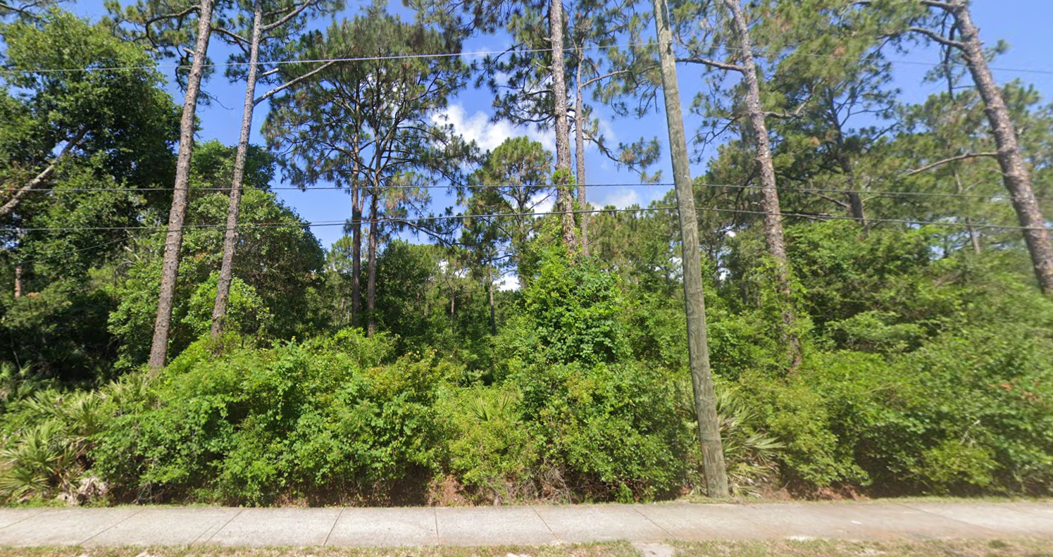 A row of trees along a dirt road with a blue sky in the background.