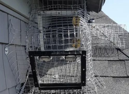 Wire cages attached to a building's roof; possibly for trapping animals.