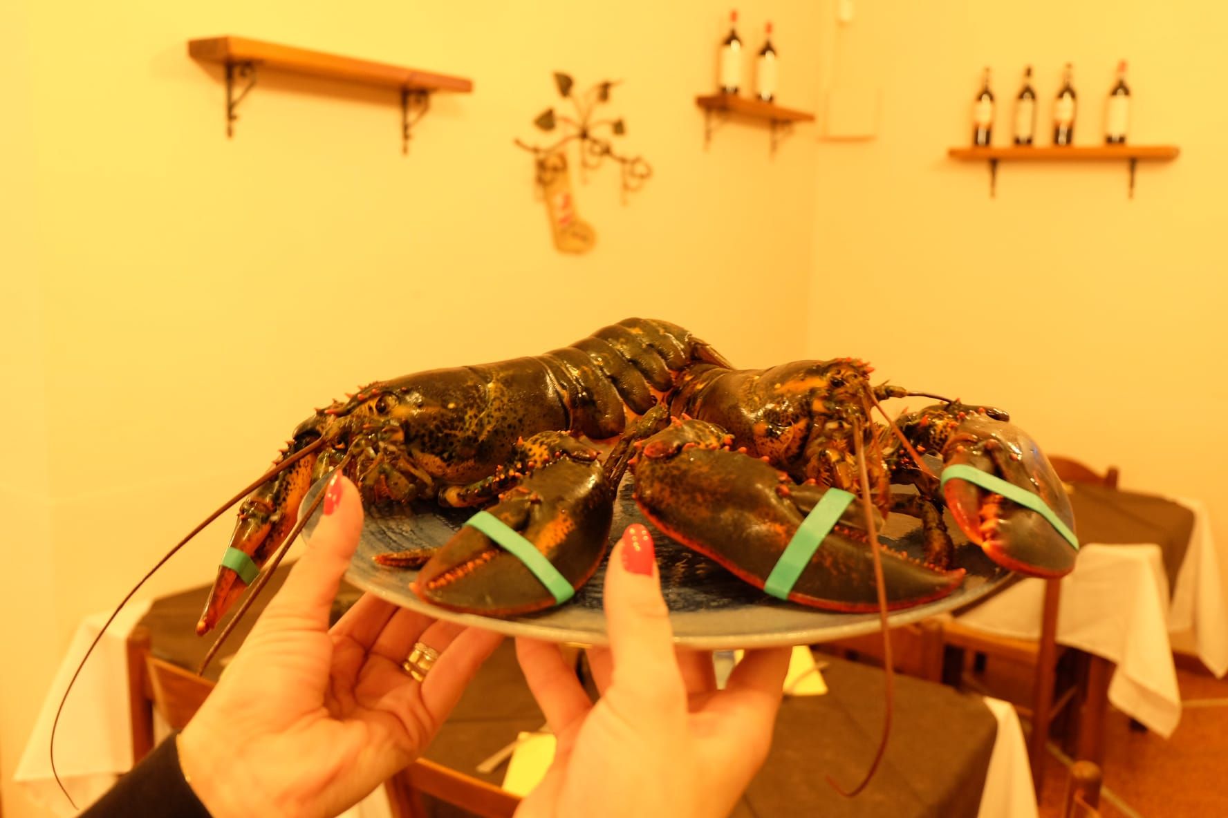 una persona tiene in mano un piatto con un'aragosta su di esso .