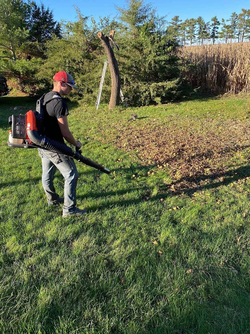 A man is blowing leaves from a lawn with a backpack blower.