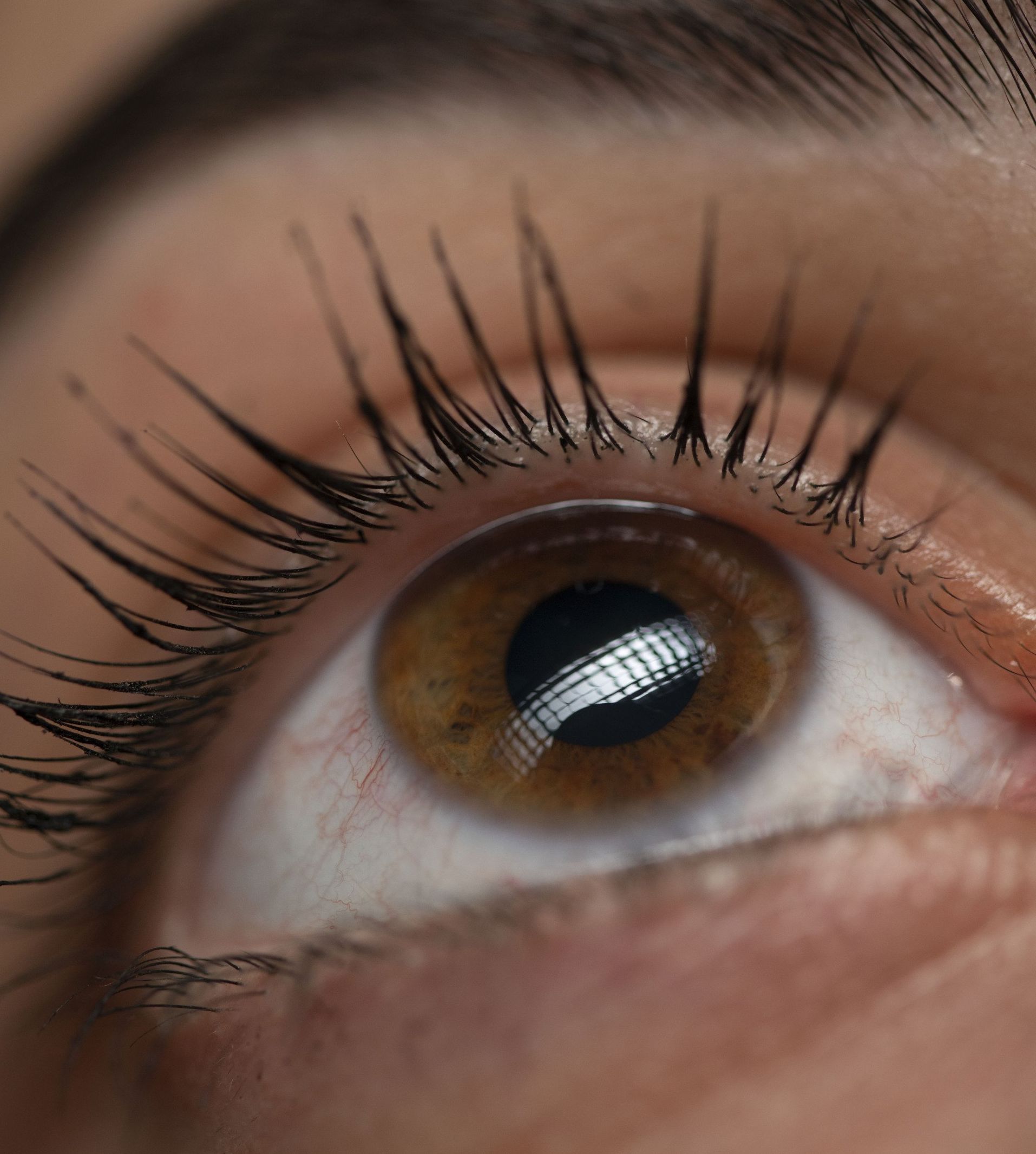 Eye Lash Extensions at Lush Aesthetics