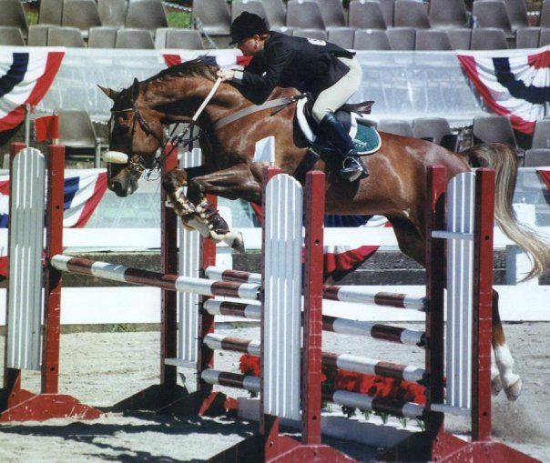 a woman riding a brown horse jumping over a hurdle