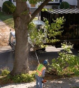Worker trimming tree