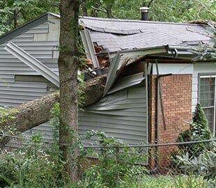 Fallen tree on house