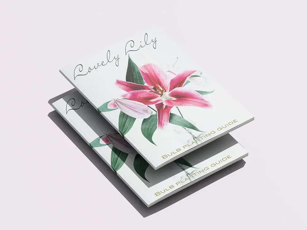 Two white books stacked with a pink lily flower illustration on the cover, titled 