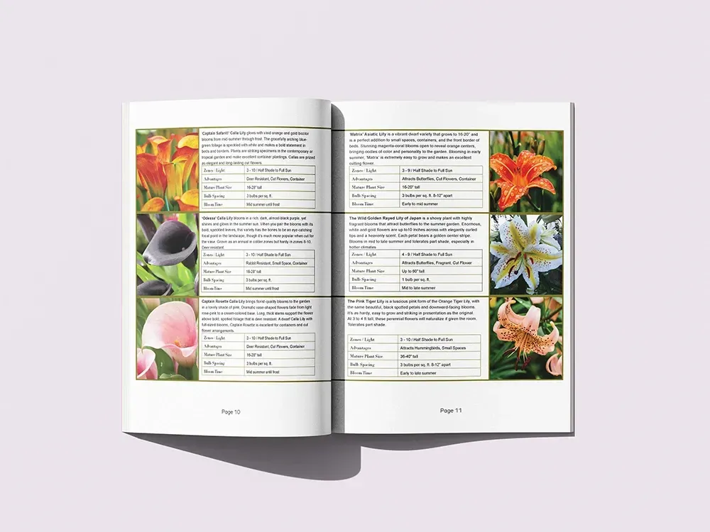 Open book with flower identification guide, featuring photos and descriptions.