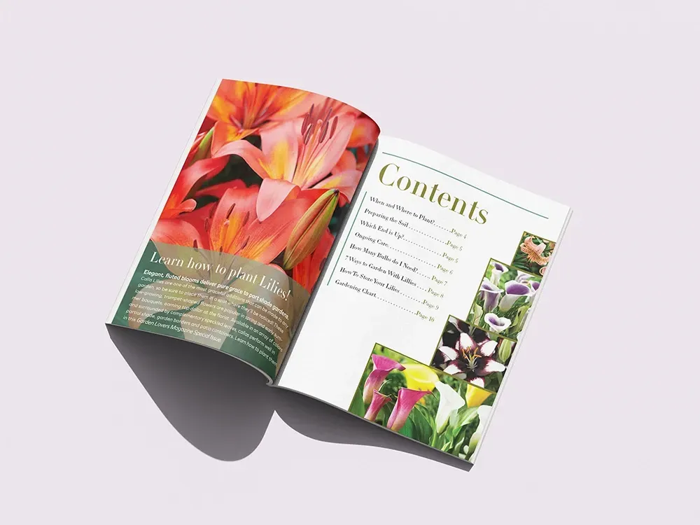 Open magazine with a colorful lily image and contents page with floral photos on a white background.