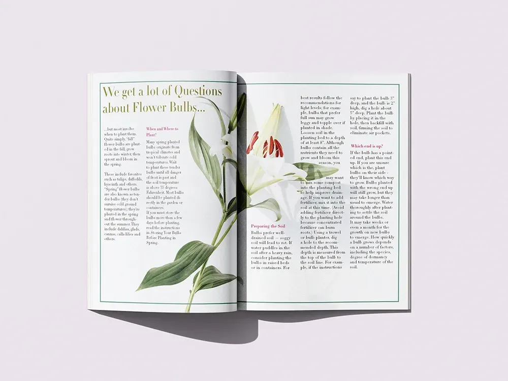 Magazine spread with text and illustration of a white flower with red markings.