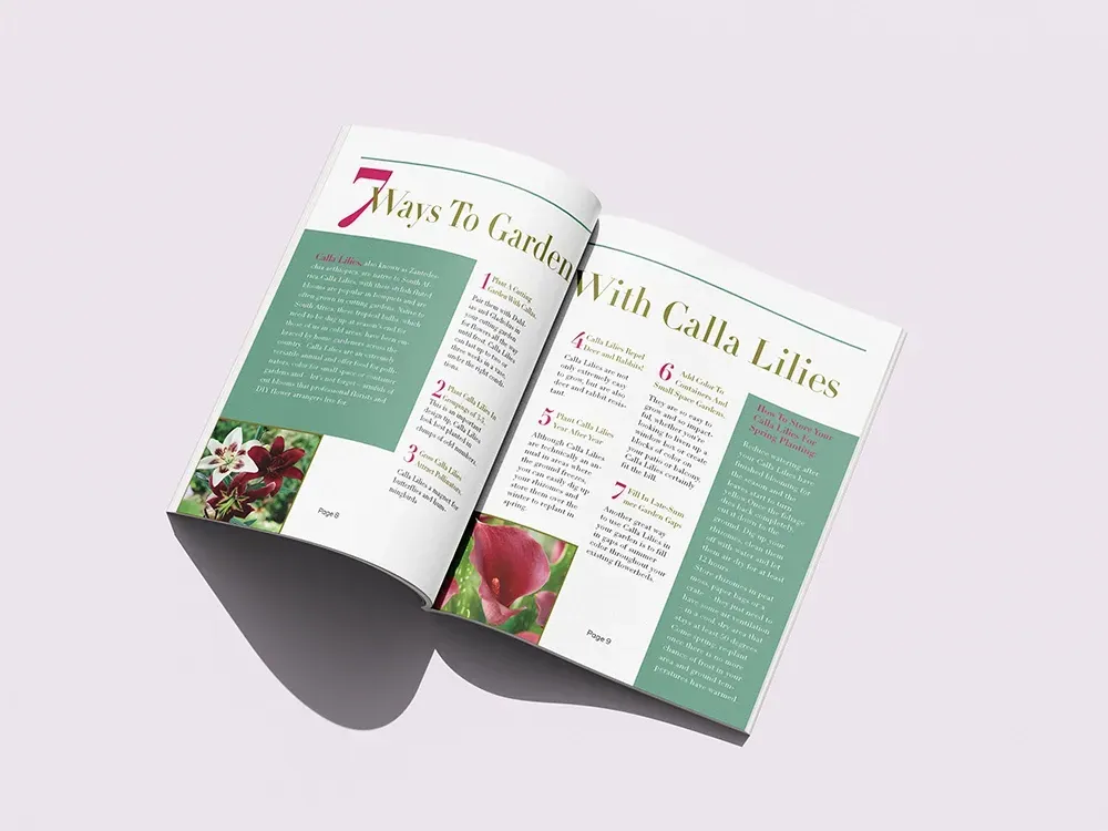 Open magazine spread with featuring text, photos, and green accent blocks.