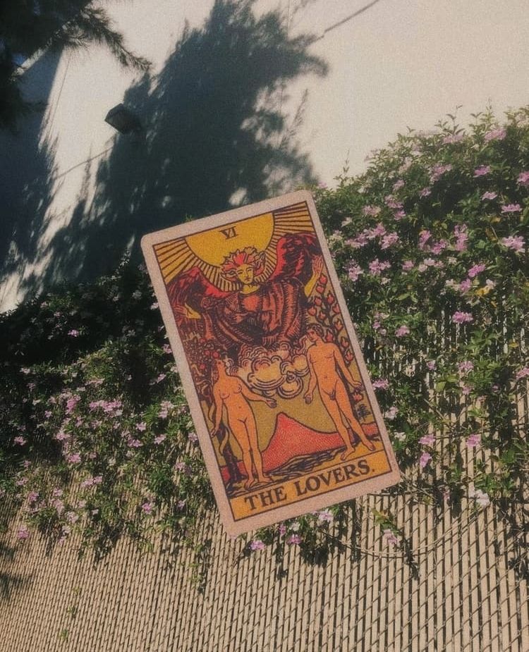 The Lovers tarot card rests on a flowering bush. A shadow falls across a white wall and a metal fence.