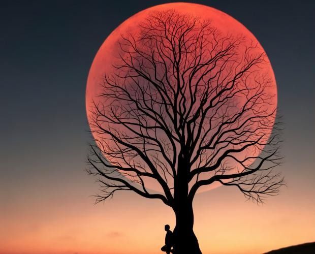 Silhouette of a bare tree against a vibrant red moon setting in the sky. A person sits at the tree's base.