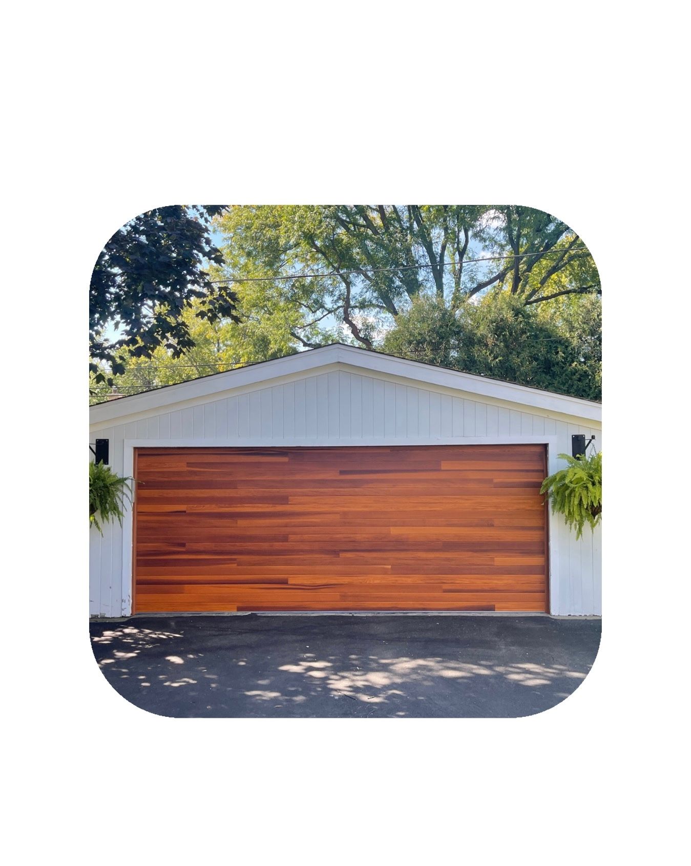 Wooden garage door on a white building, with greenery on either side, in front of asphalt driveway.