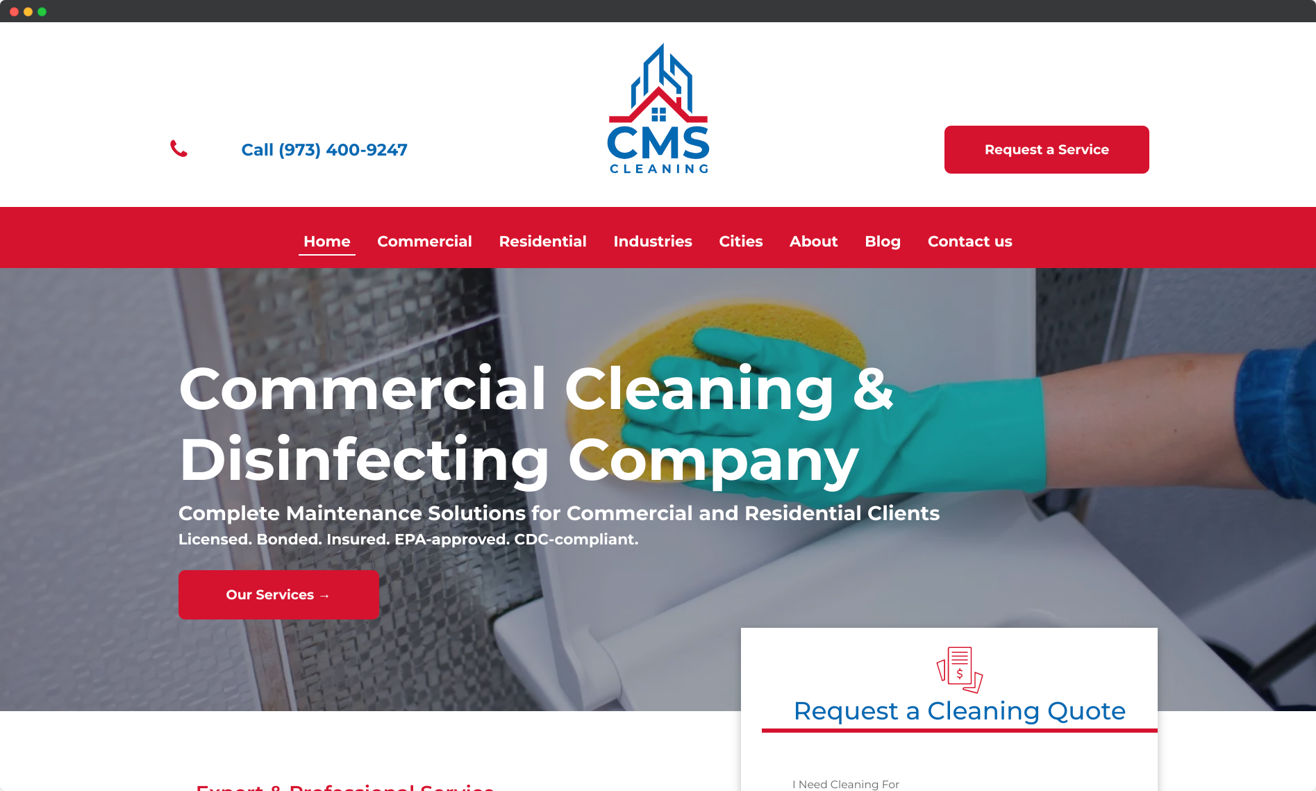 CMS Cleaning website case study