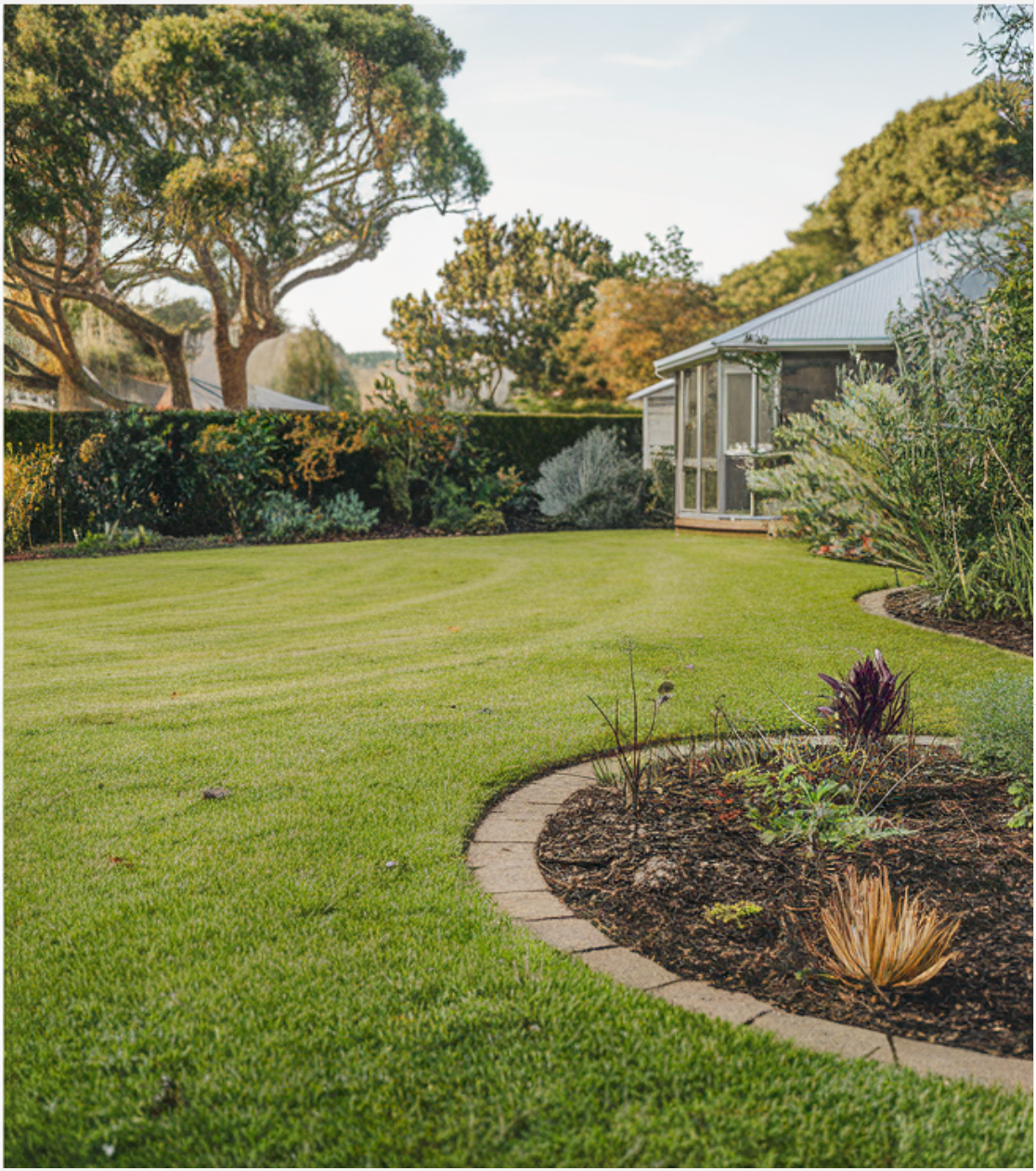 After Stump Grinding in Garden in Riccarton 