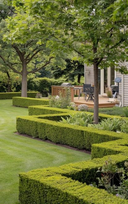 Trimmed Hedge & Trees In Fenalton Christchurch