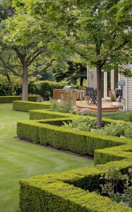 Hedge+-+Tree+trimming+in+back+garden+in+Fenalton+ chch
