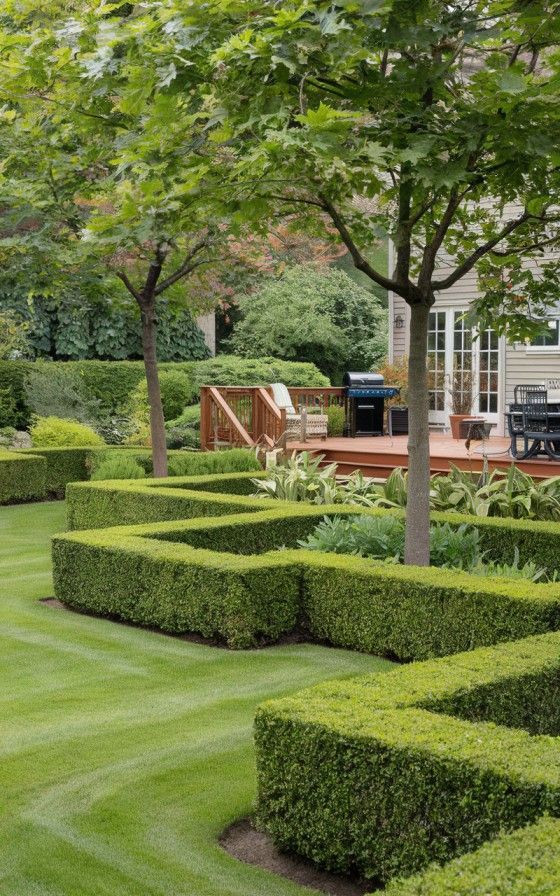 After pictures, our Arborist services  of Hedge Tree Trimming & Pruning In Fenalton Christchurch 