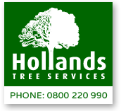 Holland Tree Services Logo 