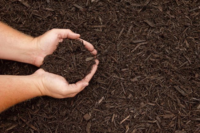 Quality Mulch Canterbury Christchurch