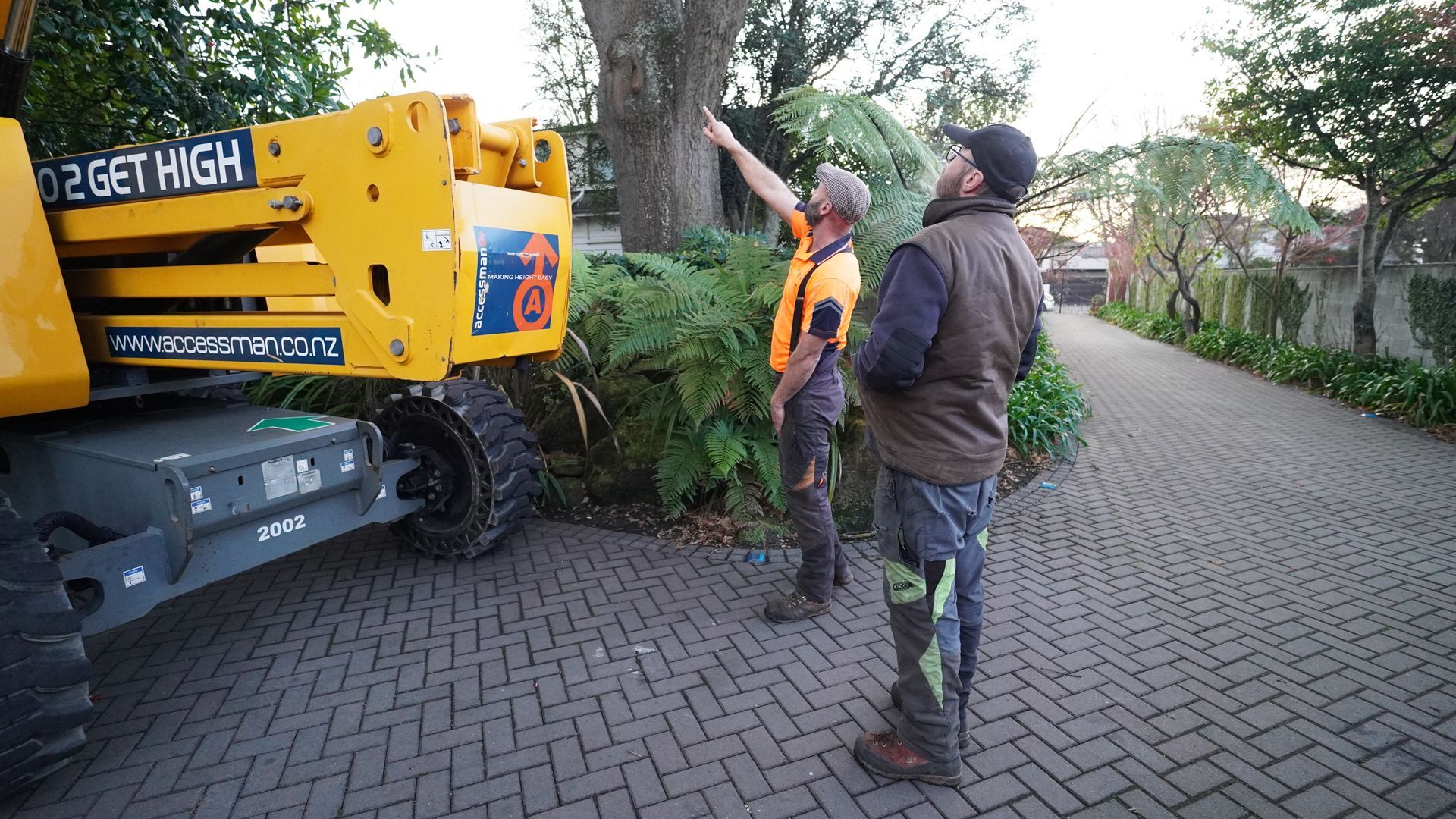 tree pruning christchurch