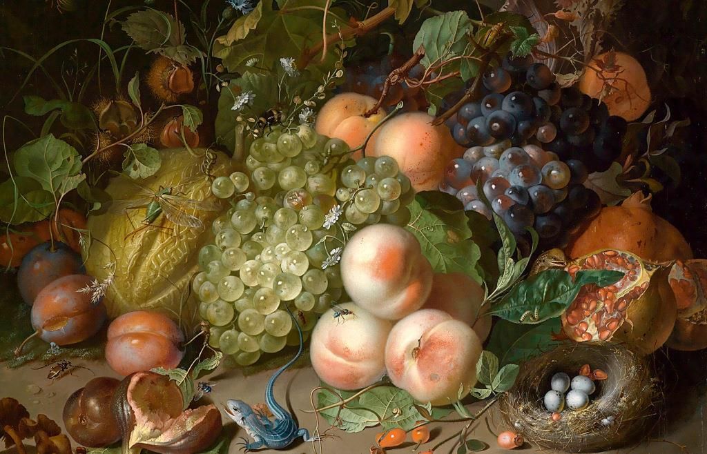 Rachel Ruysch 