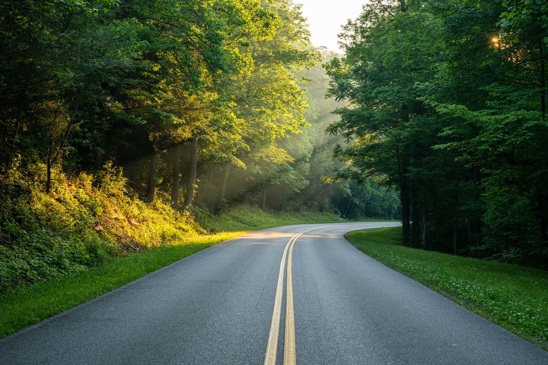 A paved road winds through a lush, green forest at sunrise, with light rays filtering through the trees.