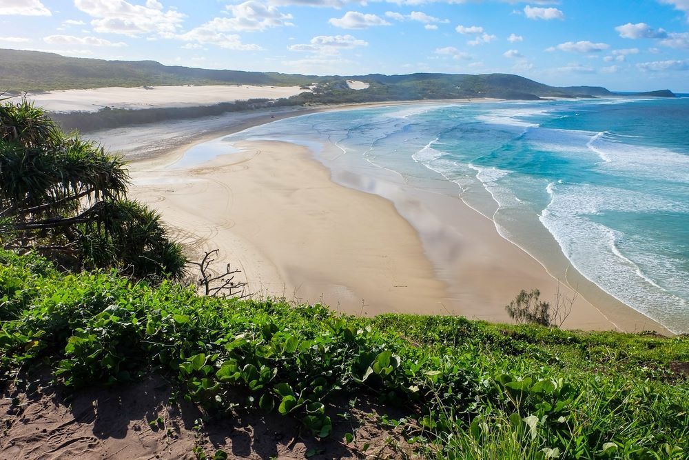 A View of a Beach From a Hill on a Sunny Day — NDR Trade Solutions in Robina, QLD