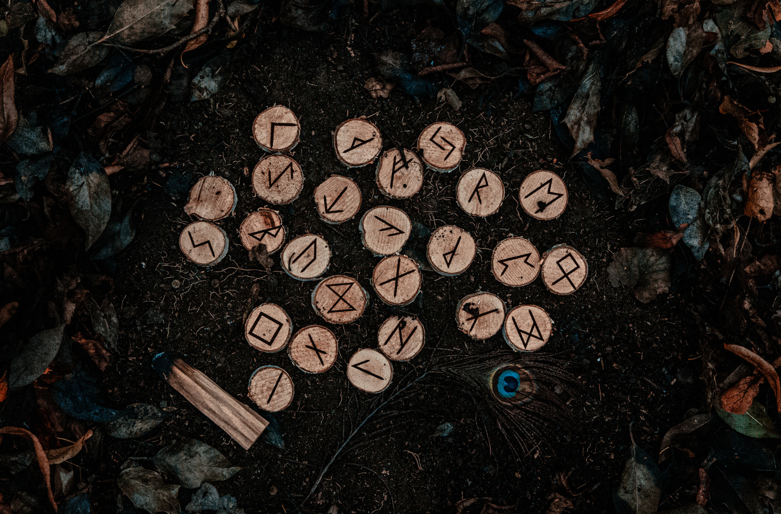 runes with leaves and a peacock feather