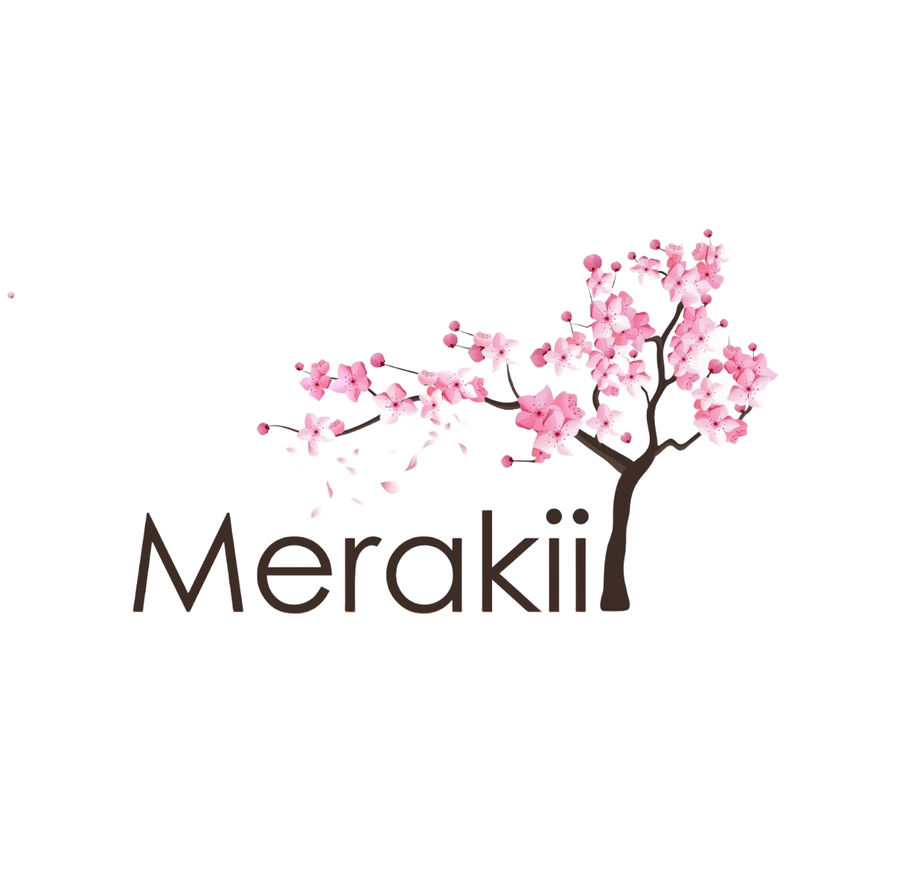 logotipo de Merakii