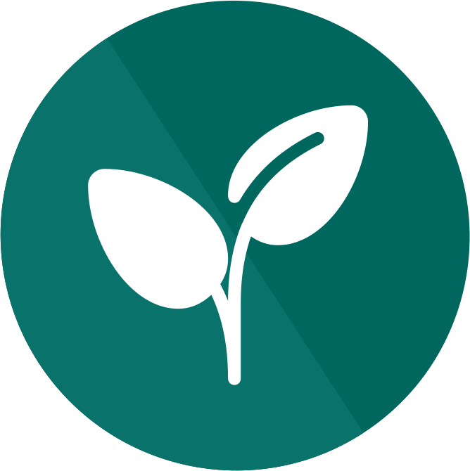 Small Business Websites