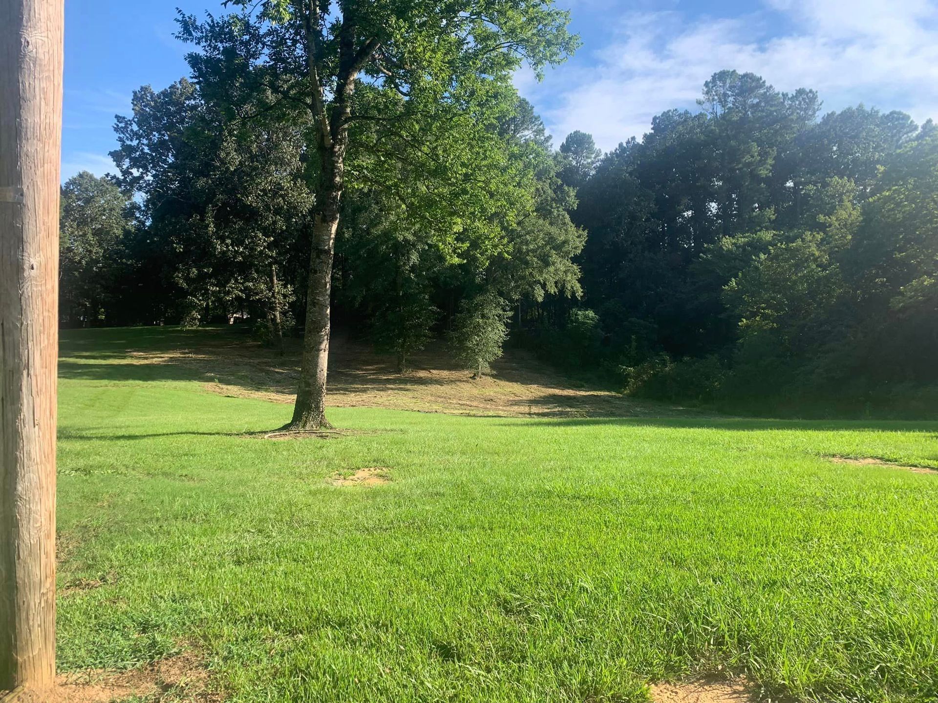 Open Field With Tree In The Middle - Aberdeen, MS - Ground Pounders