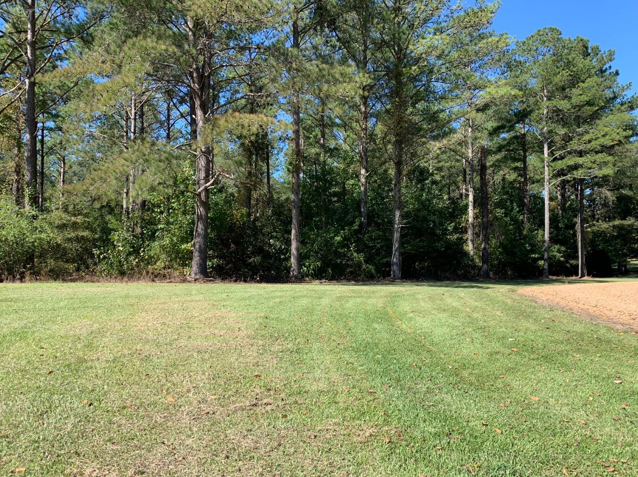 Before Forest Land Clearing - Aberdeen, MS - Ground Pounders