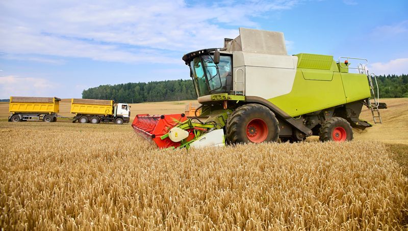 Combine To The Mowing Removes Wheat On The Fields - Aberdeen, MS - Ground Pounders