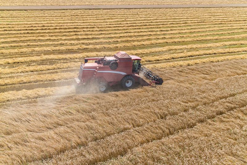 Harvesting A Fall Corn Field - Aberdeen, MS - Ground Pounders