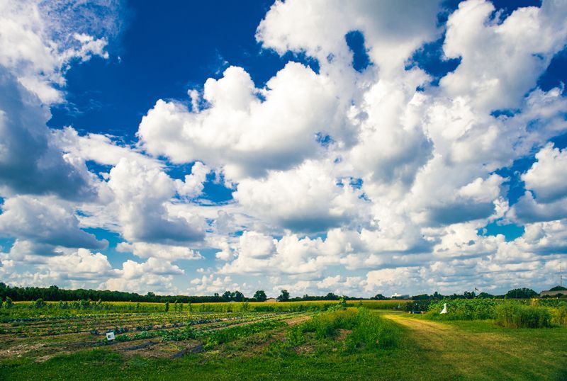 Agricultural Farmland - Aberdeen, MS - Ground Pounders