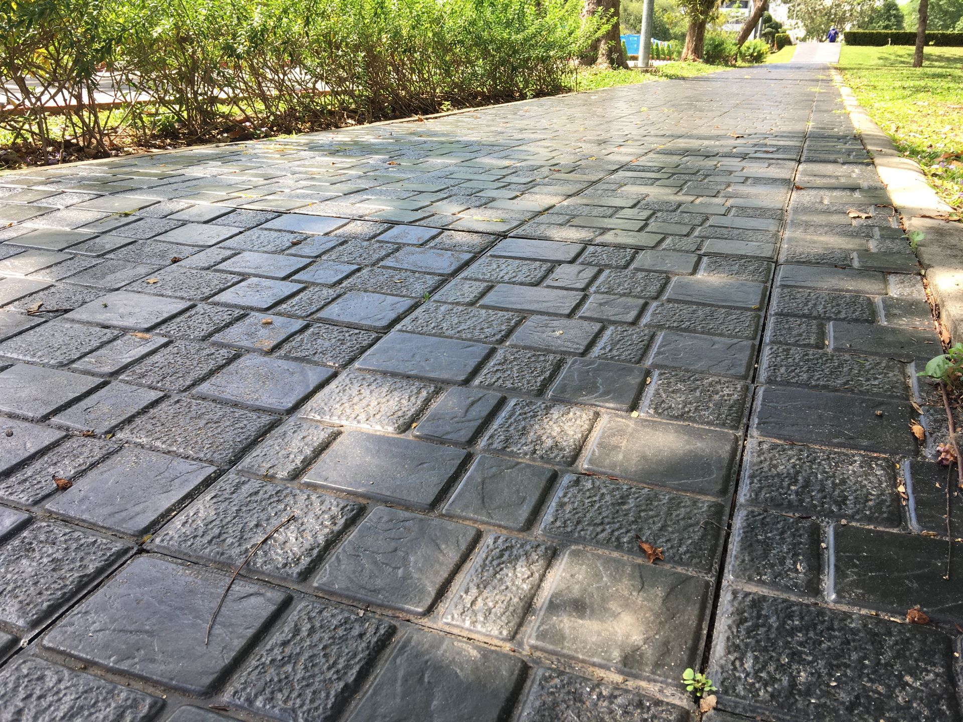 Brick walkway in a park, with green foliage on the left and grass on the right.