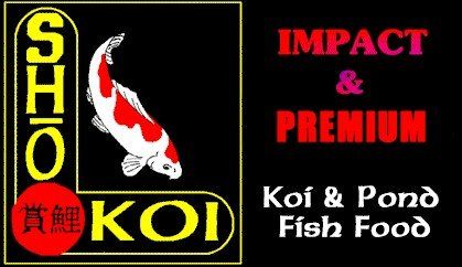 sho koi fish food